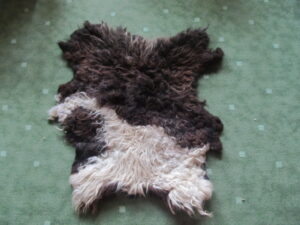 Vaskkaela villak vilditud