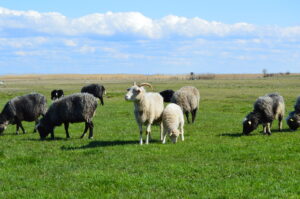 Ema kõrval on turvaline