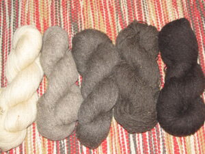 kihnu maalamba lõnga naturaalsed toonid