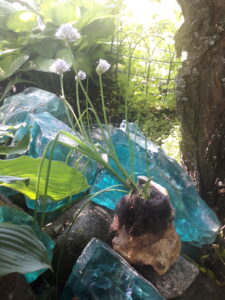 murualugule potiks veise õlavarreluu ots, täiteks vill ja veidi mulda