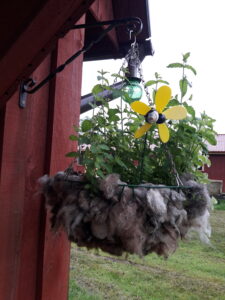 villaampel münditaimedega kevadel